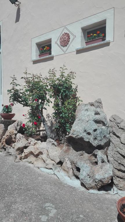 Telti Agriturismo Monte Pino المظهر الخارجي الصورة