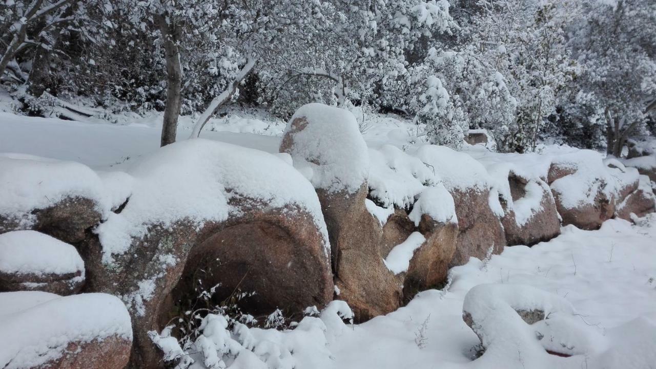 Telti Agriturismo Monte Pino المظهر الخارجي الصورة