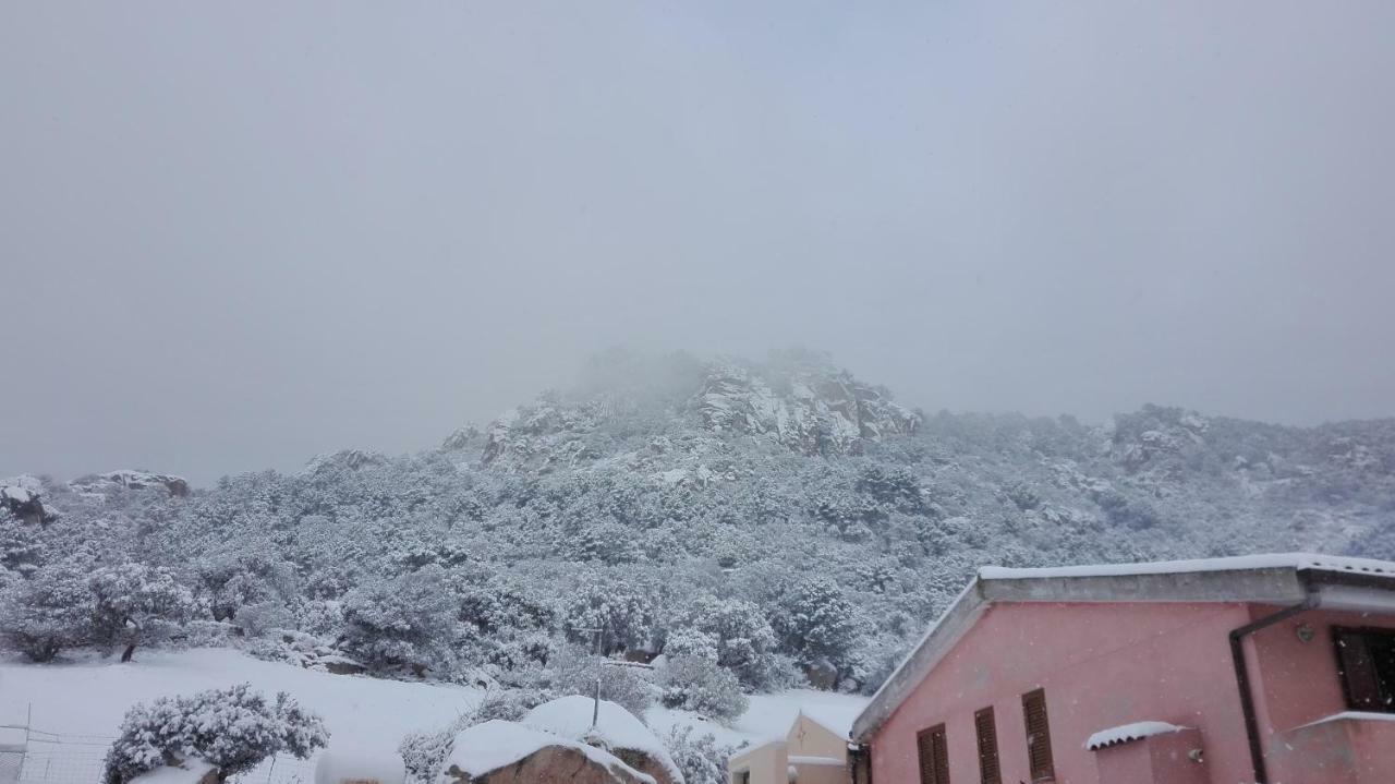 Telti Agriturismo Monte Pino المظهر الخارجي الصورة