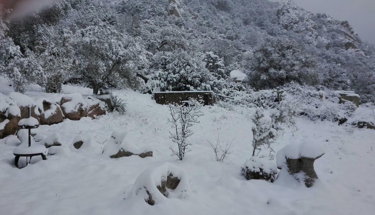 Telti Agriturismo Monte Pino المظهر الخارجي الصورة
