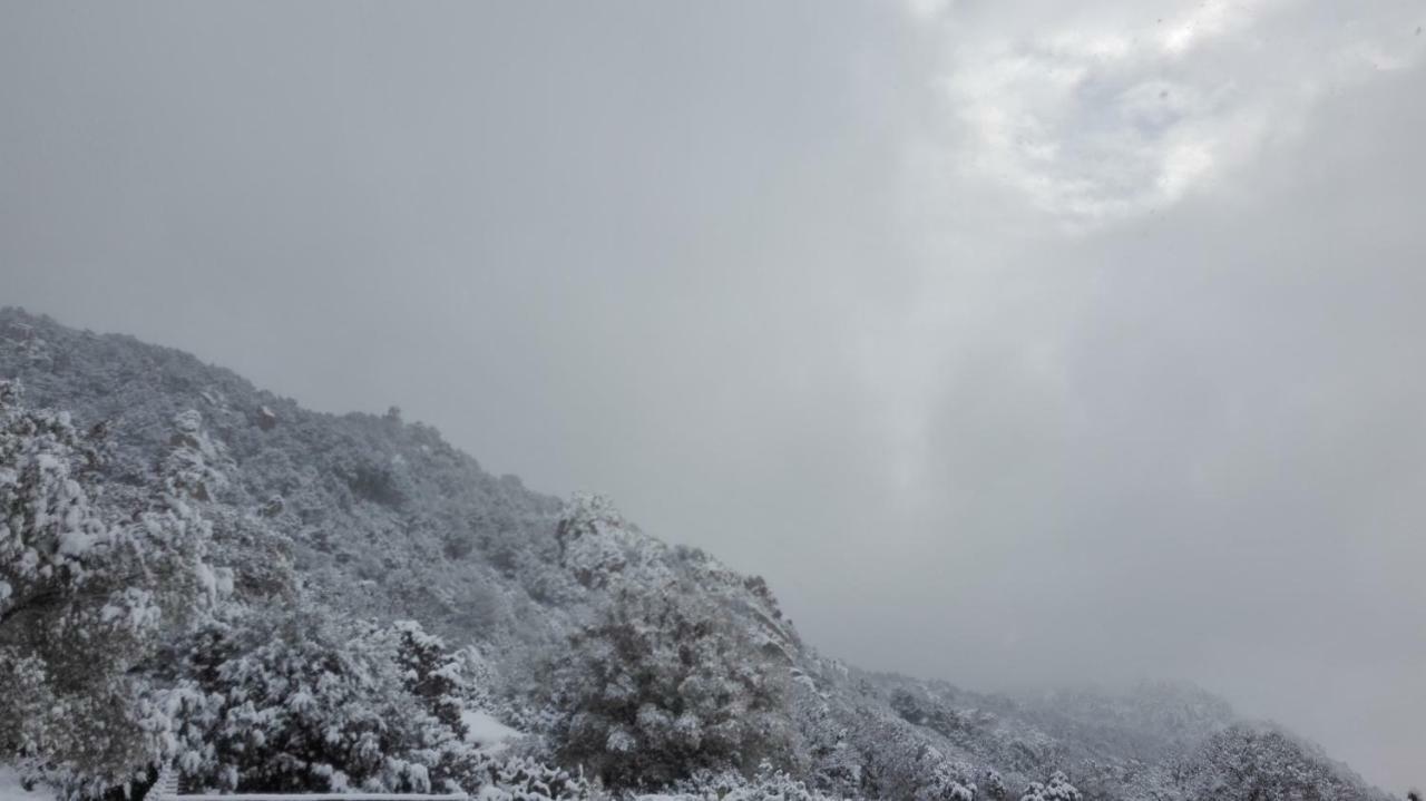 Telti Agriturismo Monte Pino المظهر الخارجي الصورة