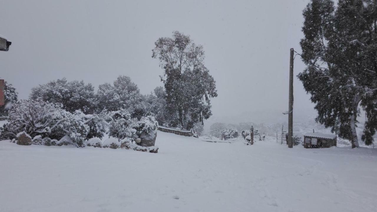 Telti Agriturismo Monte Pino المظهر الخارجي الصورة