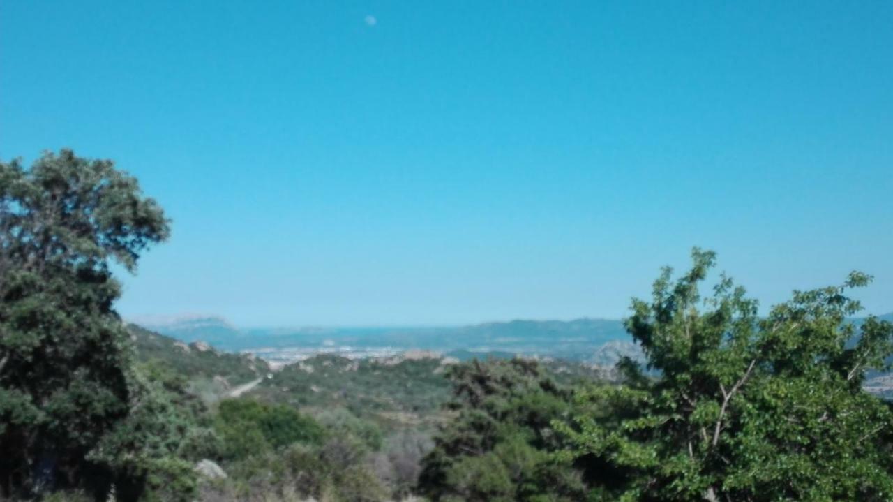 Telti Agriturismo Monte Pino المظهر الخارجي الصورة