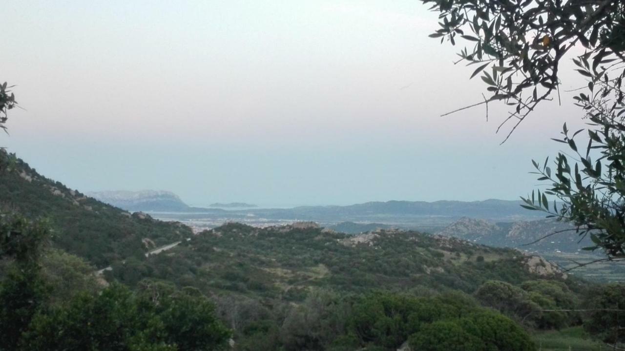 Telti Agriturismo Monte Pino المظهر الخارجي الصورة